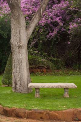 Garden design by Shirley Wallington — A peaceful spot to sit and watch the sunset