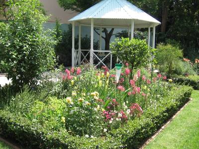 Garden design by Shirley Wallington — A small zen garden