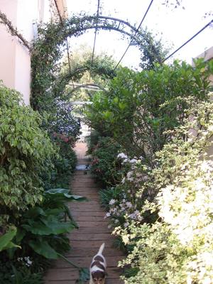 Garden design by Shirley Wallington — Arch over walkway next to the house 2