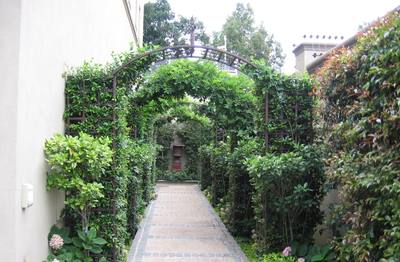 Garden design by Shirley Wallington — Arches over a walkway