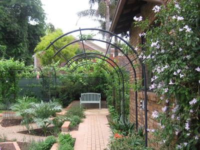 Garden design by Shirley Wallington — Curved arches for apples