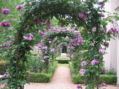 Garden design by Shirley Wallington — File 1309