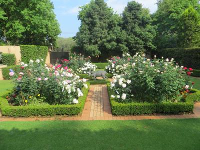 Garden design by Shirley Wallington — Img 7383