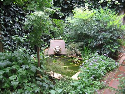 Garden design by Shirley Wallington — January 2012 027
