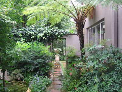 Garden design by Shirley Wallington — January 2012 028