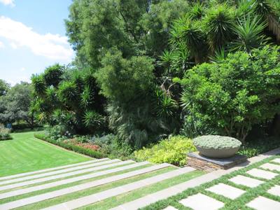 Garden design by Shirley Wallington — Large flat container with rock roses
