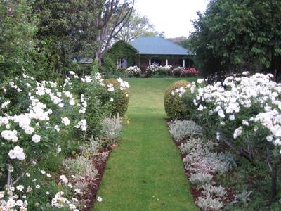 Garden design by Shirley Wallington — Looking back at the old farm house