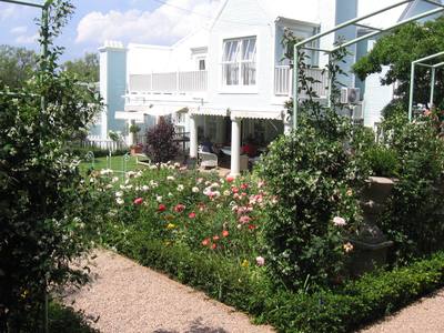 Garden design by Shirley Wallington — Looking through the rose garden