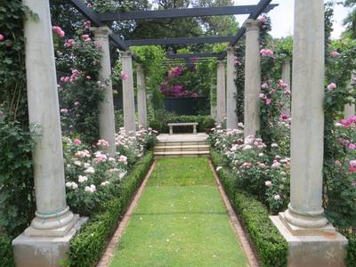 Garden design by Shirley Wallington — Lower level of pergola