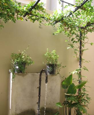Garden design by Shirley Wallington — May 22 005