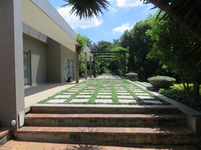 Garden design by Shirley Wallington — Mondo grass in blocks