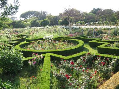 Garden design by Shirley Wallington — Myrtle hedges form the lower section of the garden