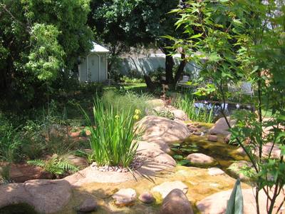 Garden design by Shirley Wallington — Natural pond