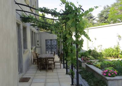 Garden design by Shirley Wallington — Pergola with grape vine