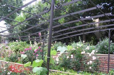 Garden design by Shirley Wallington — Pergola