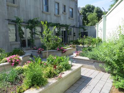 Garden design by Shirley Wallington — Raised vegetable garden