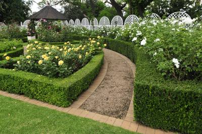Garden design by Shirley Wallington — Rose garden