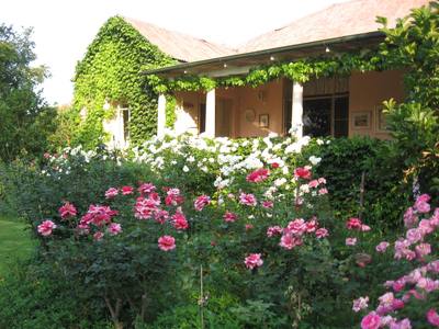 Garden design by Shirley Wallington — Roses in front of the farm house