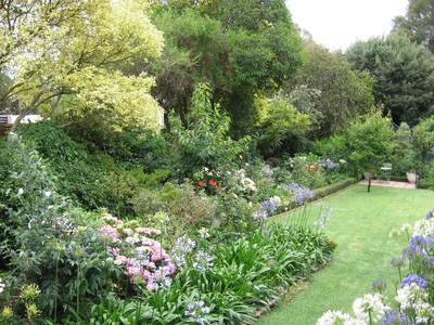 Garden design by Shirley Wallington — Shrubs surrounding tidy lawn