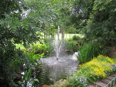 Garden design by Shirley Wallington — Simple water feature in a quiet corner
