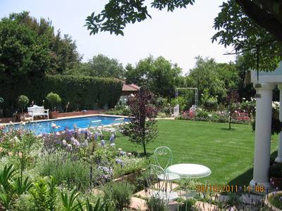 Garden design by Shirley Wallington — Sitting amongst the roses to enjoy a cup of tea