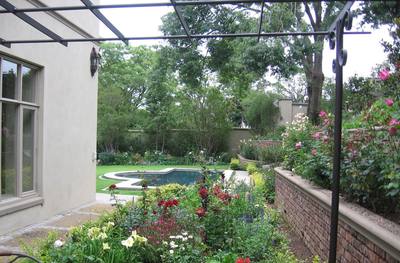 Garden design by Shirley Wallington — Small pergola planted up with grapes alongside a veggie garden