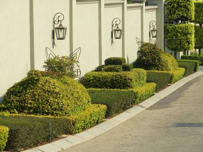 Garden design by Shirley Wallington — Topiary animals