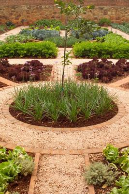 Garden design by Shirley Wallington — Vegetable garden